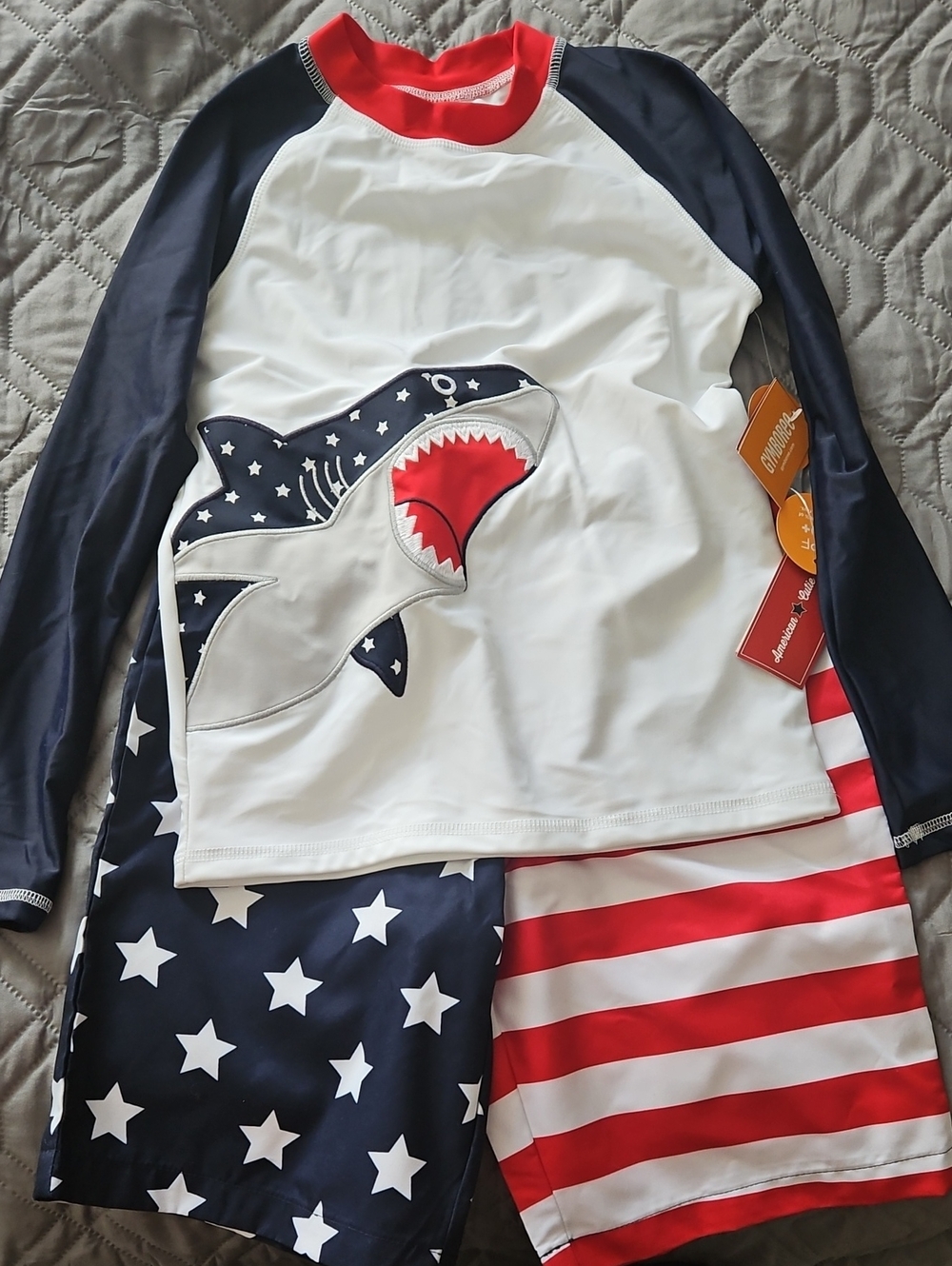 Gymboree Boys White and Navy Shark Rash Guard Set with Red Accents